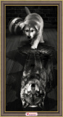 Волк внутри Алмазная живопись 1870
