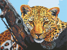 Взгляд леопарда Grafitec 10.501