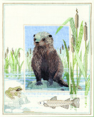 Otter Derwentwater WIL6