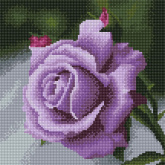 Фиолетовая роза Molly KM0976