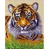 Туранский тигр Матренин Посад 0434-1