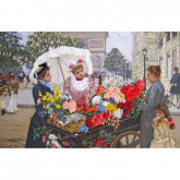 Цветы Парижа Шелковая гармония 165100