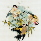 Goldfinches & Thistles Derwentwater BB04