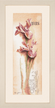 Iris - Botanical   Lanarte PN-0008049, цена 4 977 руб. - интернет-магазин Мадам Брошкина