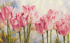 Розовые тюльпаны Алиса 2-37