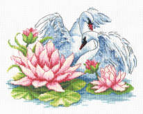 Лебеди Многоцветница МКН.23-14