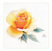 Акварельные розы. Желтая элегантная Алиса 2-52