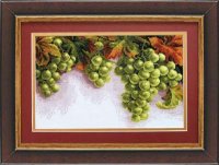 Грозди винограда Чаривна Мить 445, цена 481 руб. - интернет-магазин Мадам Брошкина