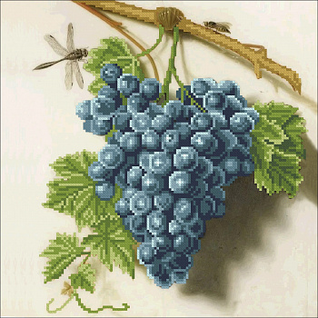 Виноградная лоза Конёк 1475, цена 434 руб. - интернет-магазин Мадам Брошкина