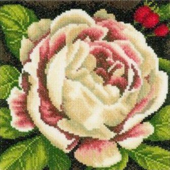 Белая роза Lanarte 144517, цена 957 руб. - интернет-магазин Мадам Брошкина