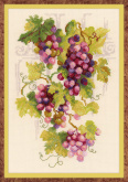 Виноградная лоза Риолис 1455