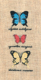 Бабочки Le Bonheur des Dames 3627