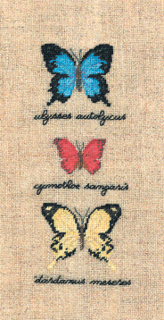 Бабочки Le Bonheur des Dames 3627, цена 1 507 руб. - интернет-магазин Мадам Брошкина