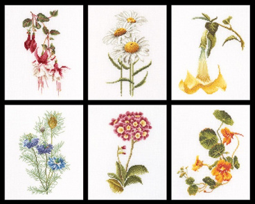 Шесть цветочных исследований Thea Gouverneur 3084, цена 6 099 руб. - интернет-магазин Мадам Брошкина