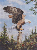Кричащий орел Bucilla BCL- 45478