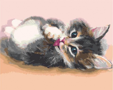 Милый котенок Цветной MG2076, цена 1 401 руб. - интернет-магазин Мадам Брошкина