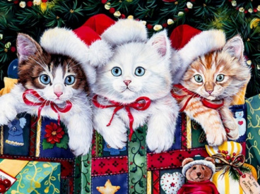 Рождественские котята Колор кит KS013, цена 435 руб. - интернет-магазин Мадам Брошкина