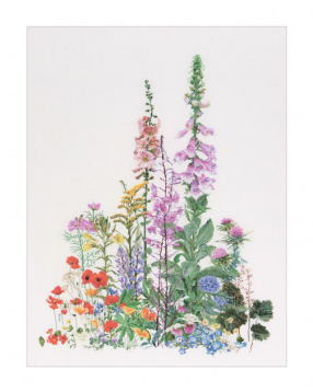 Полевые цветы Thea Gouverneur 554, цена 6 820 руб. - интернет-магазин Мадам Брошкина