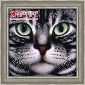 Мордочка кота Алмазная живопись АЖ.1085, цена 1 021 руб. - интернет-магазин Мадам Брошкина