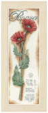 Red Poppies   Lanarte PN-0154333