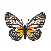 Бабочка Нитекс 2395