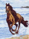 Конь на берегу Матренин Посад 0587