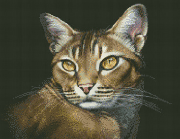 Абиссинская кошка Паутинка М354, цена 2 188 руб. - интернет-магазин Мадам Брошкина