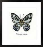 Голубая бабочка Vervaco PN-0165403