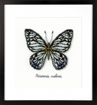 Голубая бабочка Vervaco PN-0165403, цена 2 923 руб. - интернет-магазин Мадам Брошкина