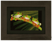 Красноглазые древесные лягушки Vervaco PN-0146866