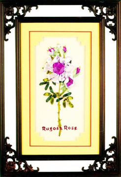 Розы TBY A077, цена 437 руб. - интернет-магазин Мадам Брошкина