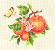 Ветка апельсина Многоцветница МКН.25-14