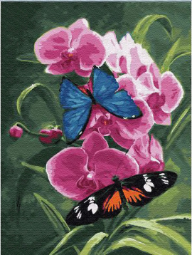 Бабочки и орхидея Цветной EX6048, цена 938 руб. - интернет-магазин Мадам Брошкина