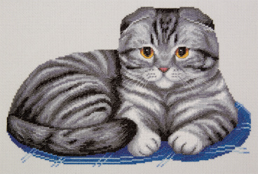 Шотландский вислоухий кот Panna K-7221, цена 1 023 руб. - интернет-магазин Мадам Брошкина