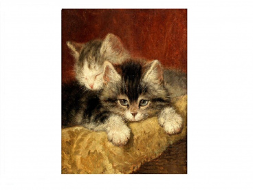 Котята Molly KH0307, цена 931 руб. - интернет-магазин Мадам Брошкина