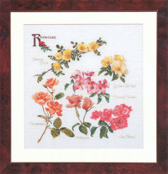 Группа цветов розы Thea Gouverneur 3066, цена 5 879 руб. - интернет-магазин Мадам Брошкина