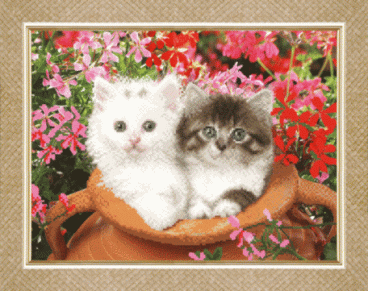 Два котенка Чаривна Мить СБ-179, цена 182 руб. - интернет-магазин Мадам Брошкина