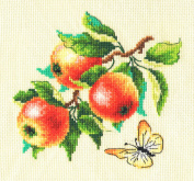 Ветка яблони Многоцветница МКН.26-14