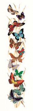 Бабочки Eva Rosenstand 14-255, цена 5 796 руб. - интернет-магазин Мадам Брошкина