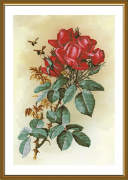 Роза красная Nova Sloboda СР6244, цена 1 221 руб. - интернет-магазин Мадам Брошкина