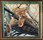 Леопард Риолис 937