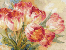Тюльпаны Алиса 2-29