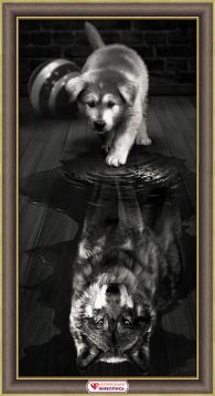 Волк внутри Алмазная живопись 1870, цена 2 158 руб. - интернет-магазин Мадам Брошкина