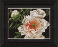 Peony - Lady Of The Evening  Lanarte PN-0008177