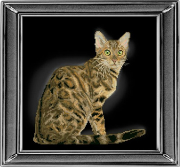 Бенгальская кошка Краса i Творчiсть 30912, цена 1 851 руб. - интернет-магазин Мадам Брошкина
