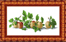 Натюрморт с яблоками Каролинка КБЦ 2005