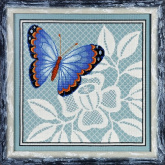 Бабочка Alisena 1122