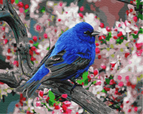 Синяя птица счастья  Цветной GX23193