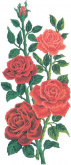 Красные розы Grafitec 8.014