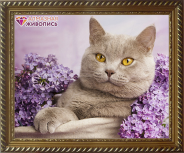 Кот в сирени Алмазная живопись АЖ.1417, цена 1 518 руб. - интернет-магазин Мадам Брошкина